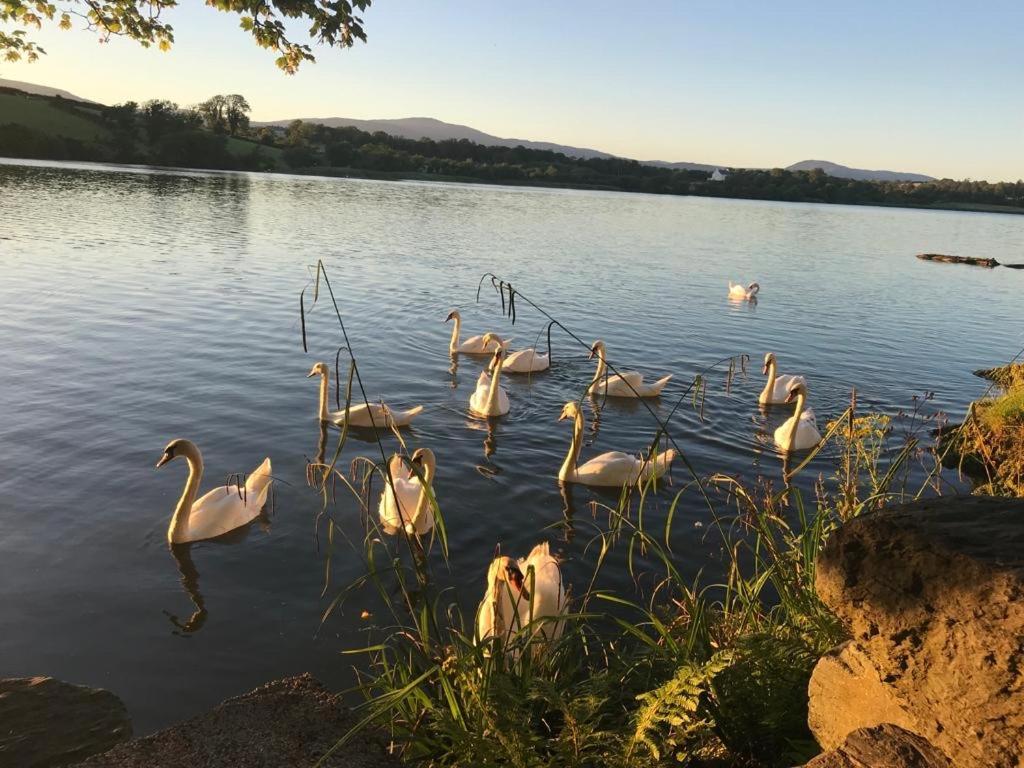 Lakeside Lookout Bantry Cork Extérieur photo