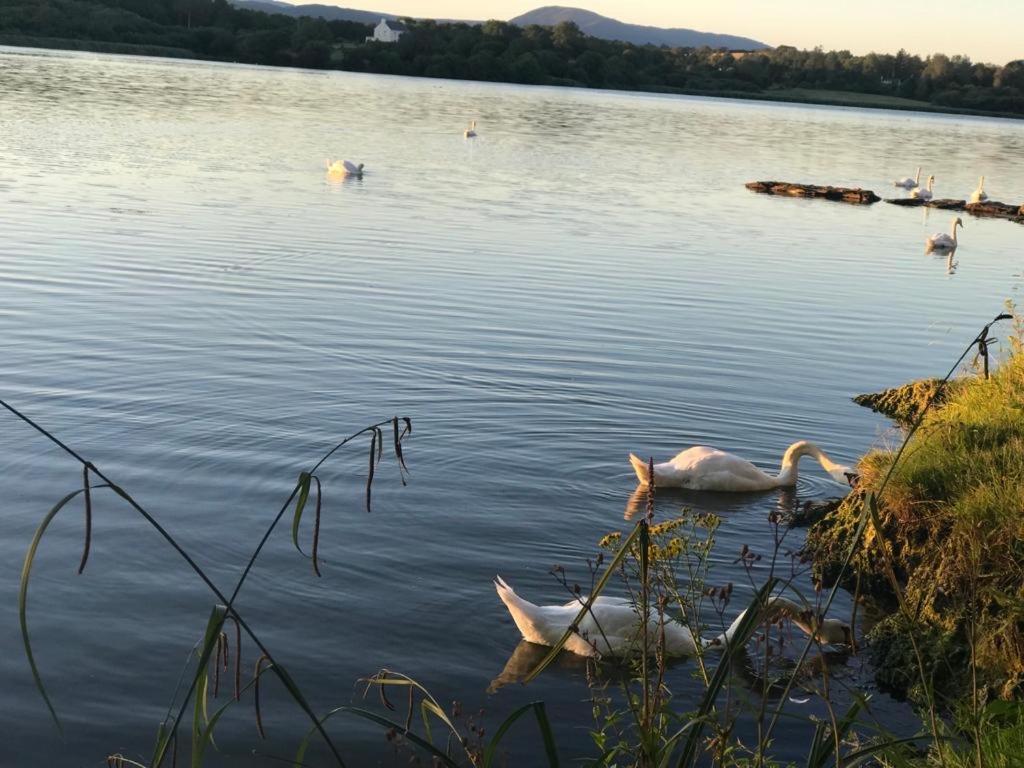 Lakeside Lookout Bantry Cork Extérieur photo